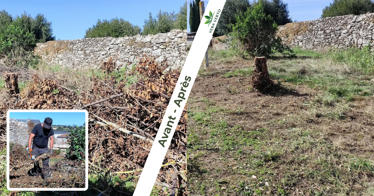 Avant et après le désencombrement d’un terrain à Saint-Laurent-sur-Sèvre, avant terrassement